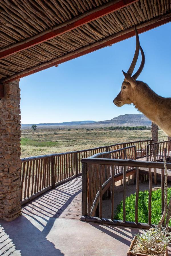 Gannabos Guest House Kleinvie Εξωτερικό φωτογραφία